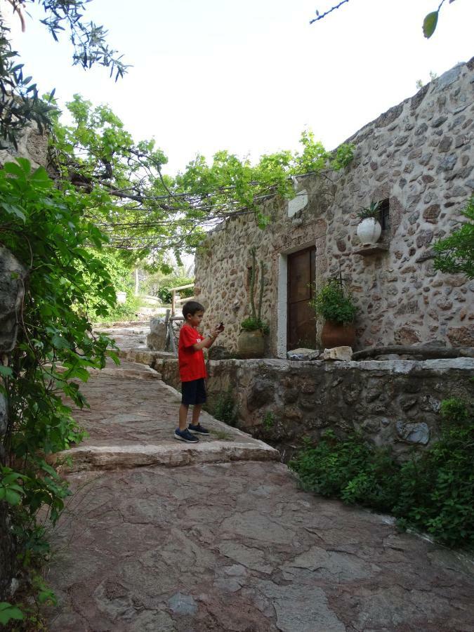 דירות Káto Zákros Nikos House מראה חיצוני תמונה